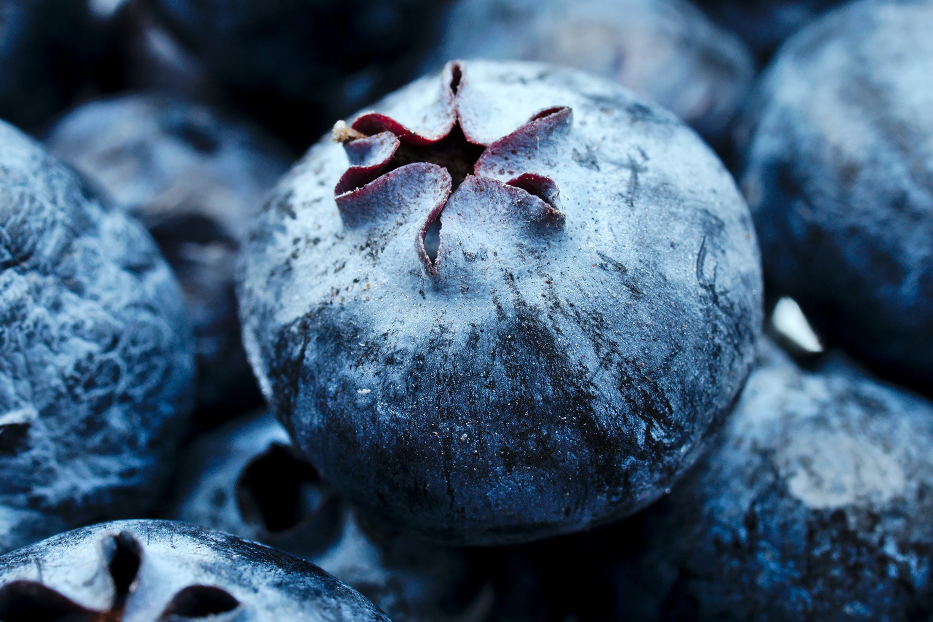 All Antioxidants Are the Same?