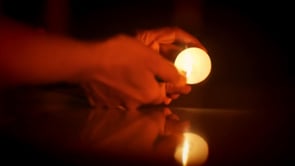 Mental Clarity | Cold Fusion Extract